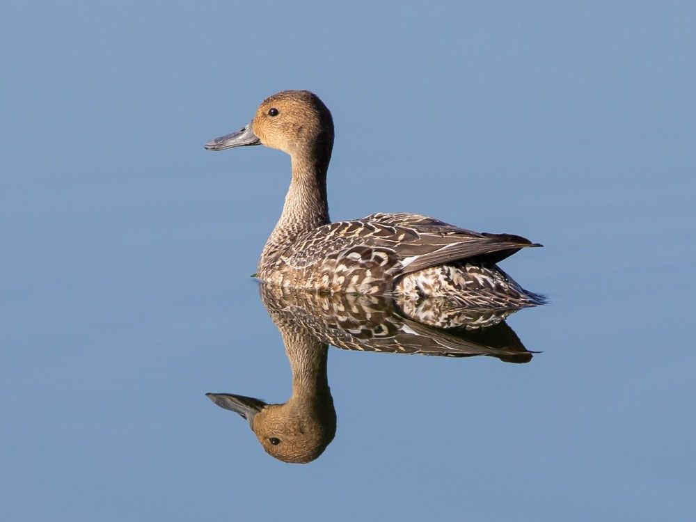 Photograph by Haris Sheikh