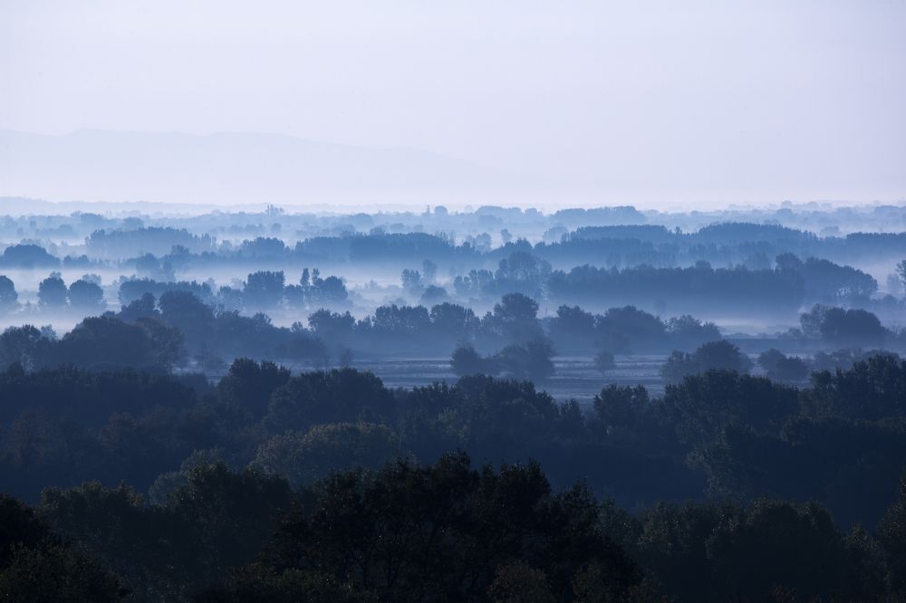 Фотография автора Ivelina Petkova