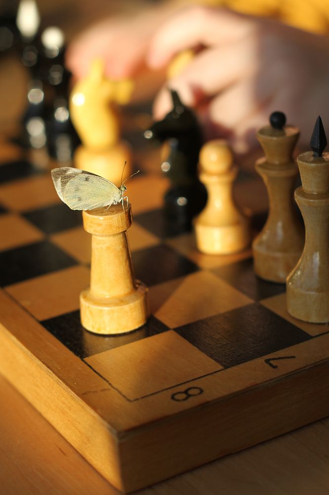 Photograph by Полина Ефимова