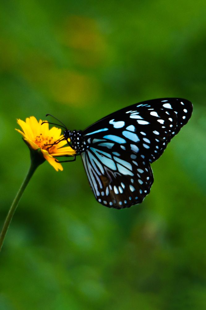 Photograph by Sanyukta Paliya