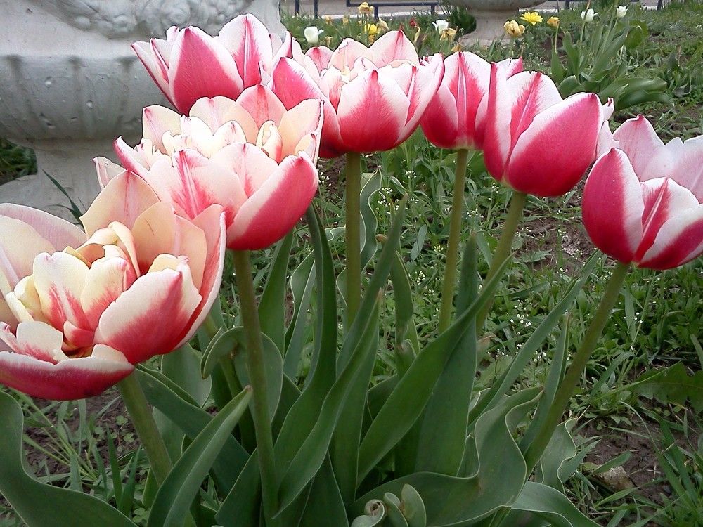 Photograph by карякина мария