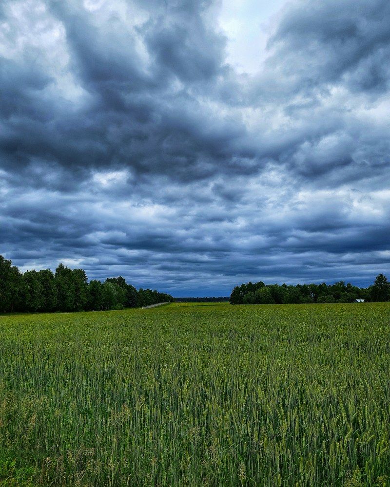 Небо хмурится