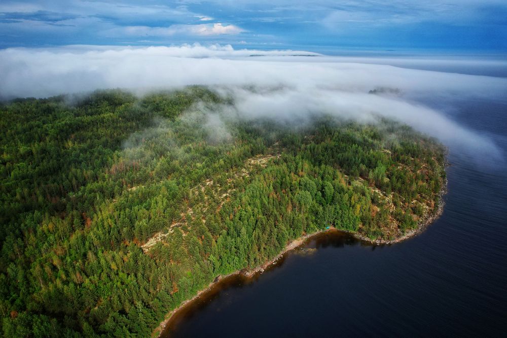 Photograph by Andrey Purtov