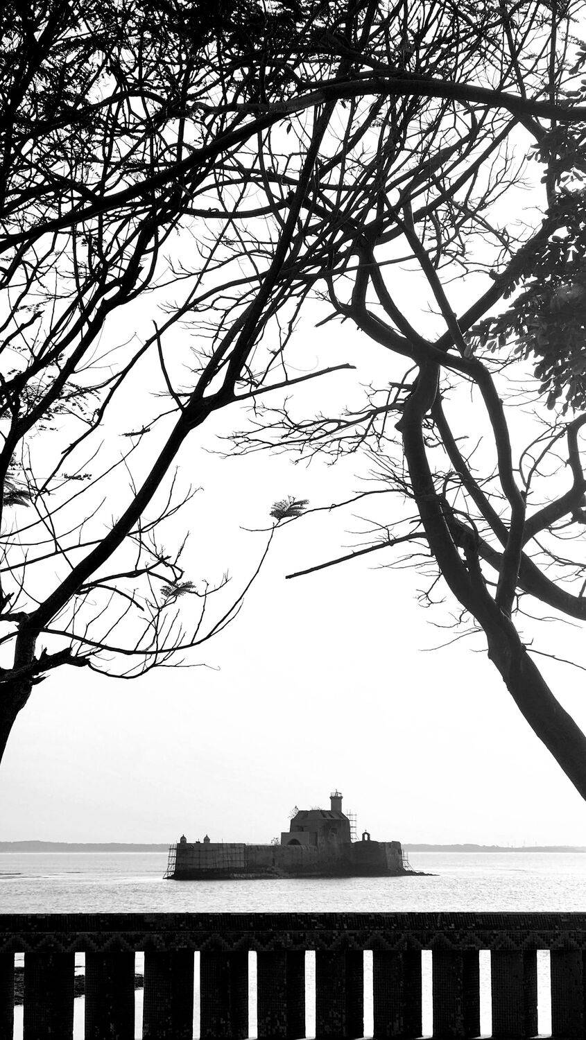 Photo #9189599