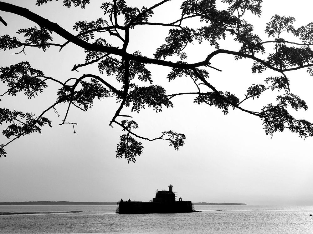 Photograph by AYUSH SHAH