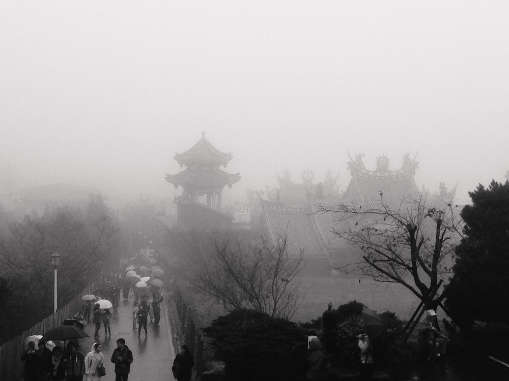 Photo #9189604