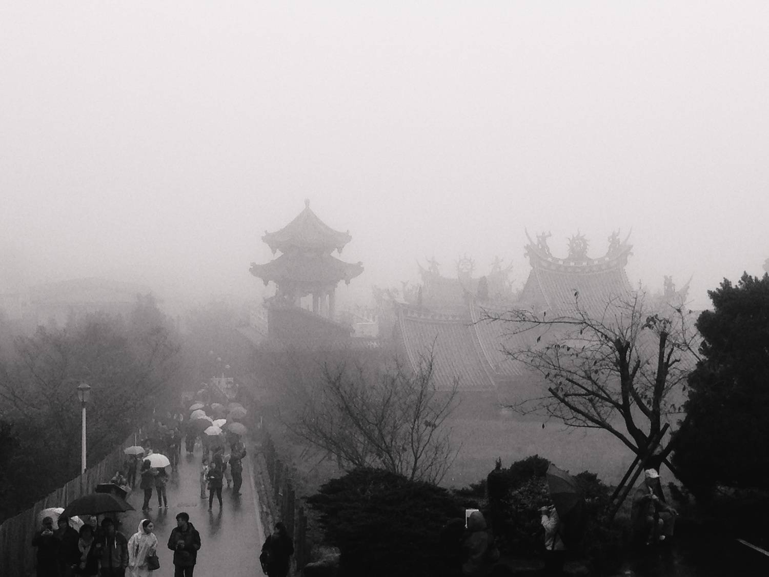 Photo #9189604