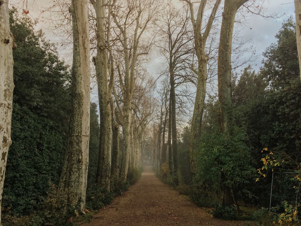 Photograph by Ольга Гончарова