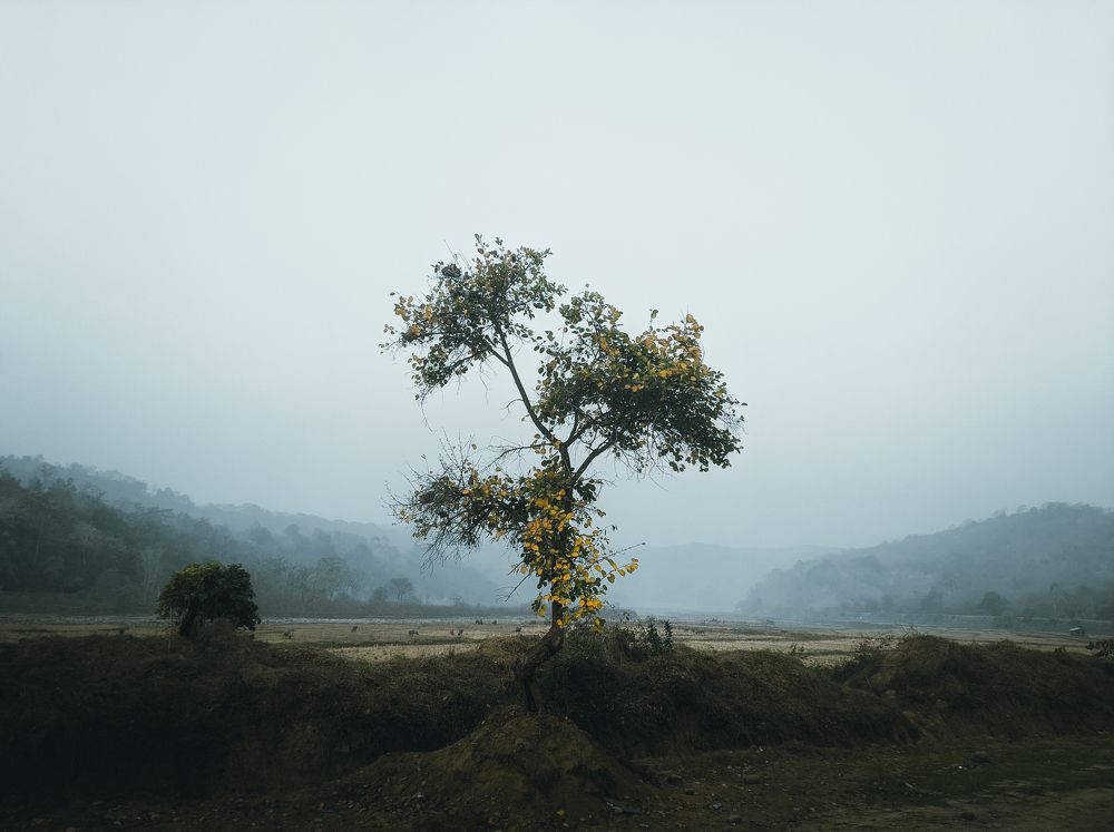 Photograph by E N I G M A