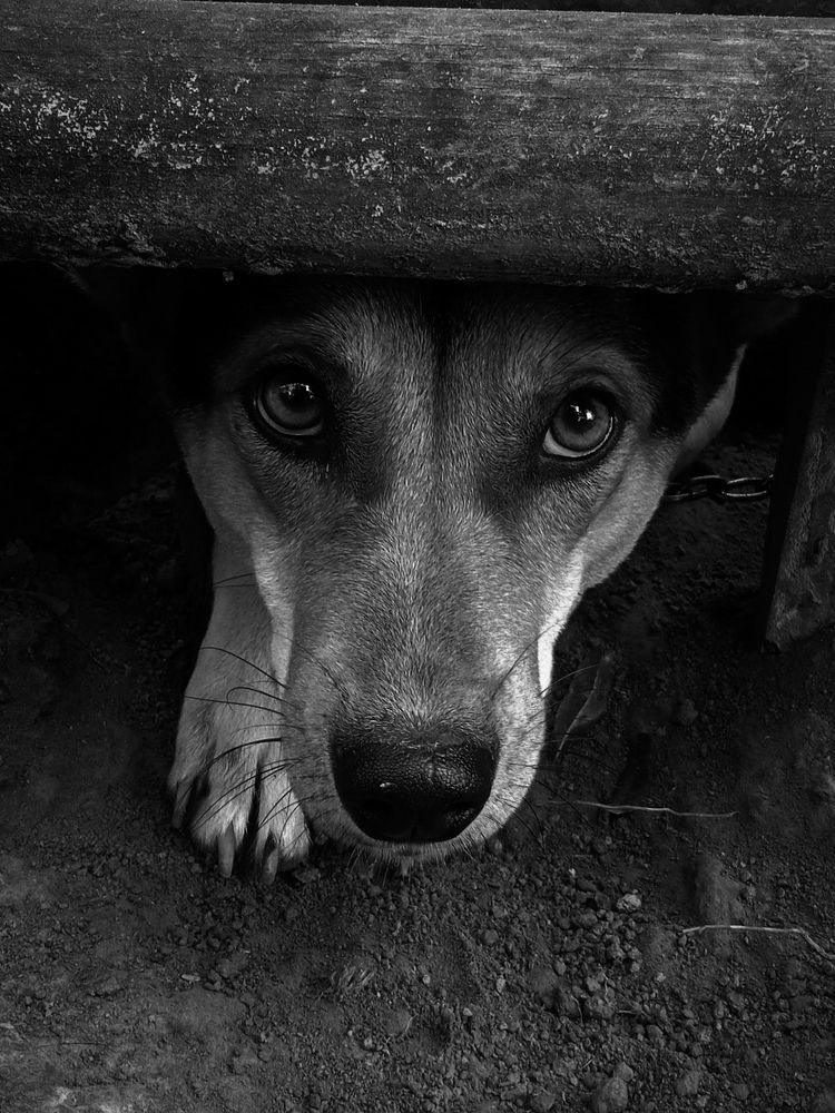 Photograph by Nayan Jyoti Rabha