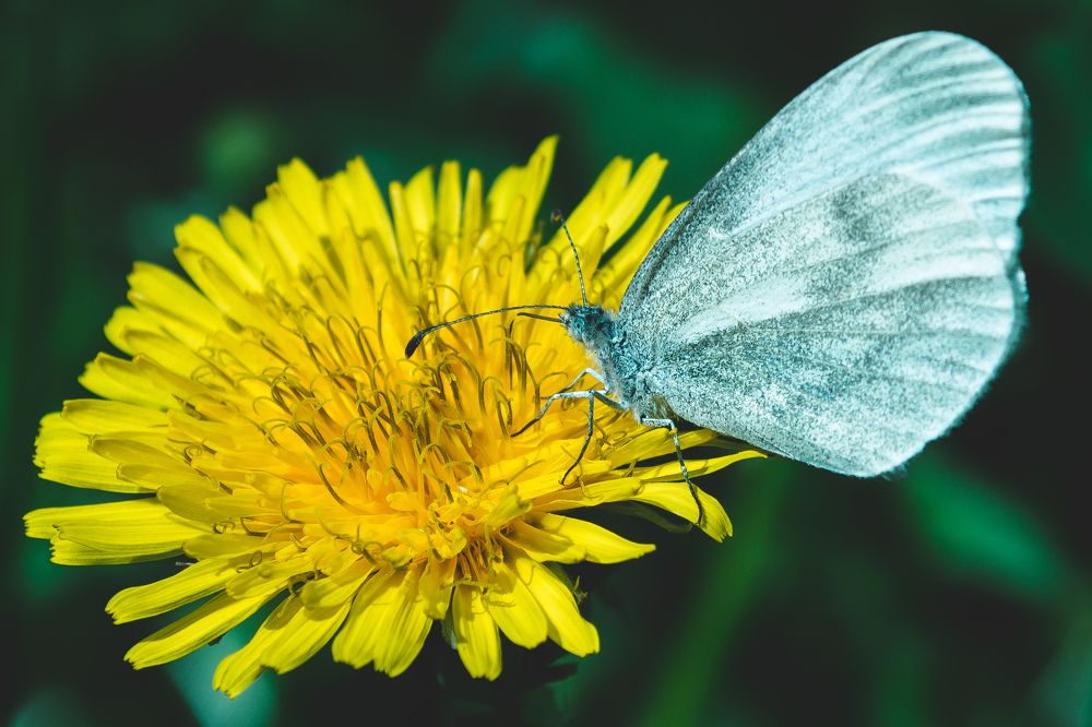 Photograph by Fahrudin Seferagić