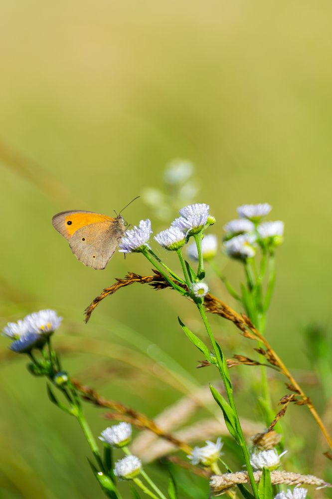 Photograph by Fahrudin Seferagić