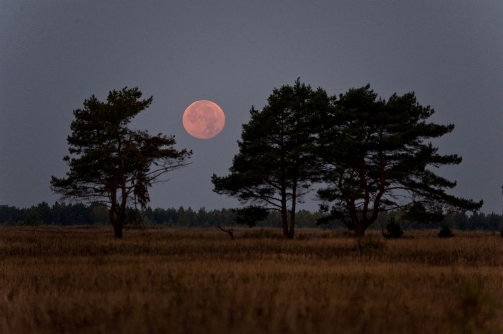 Photograph by Юрий Яковлев