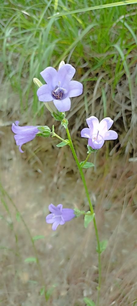 Photograph by Дмитрий Хайбулин