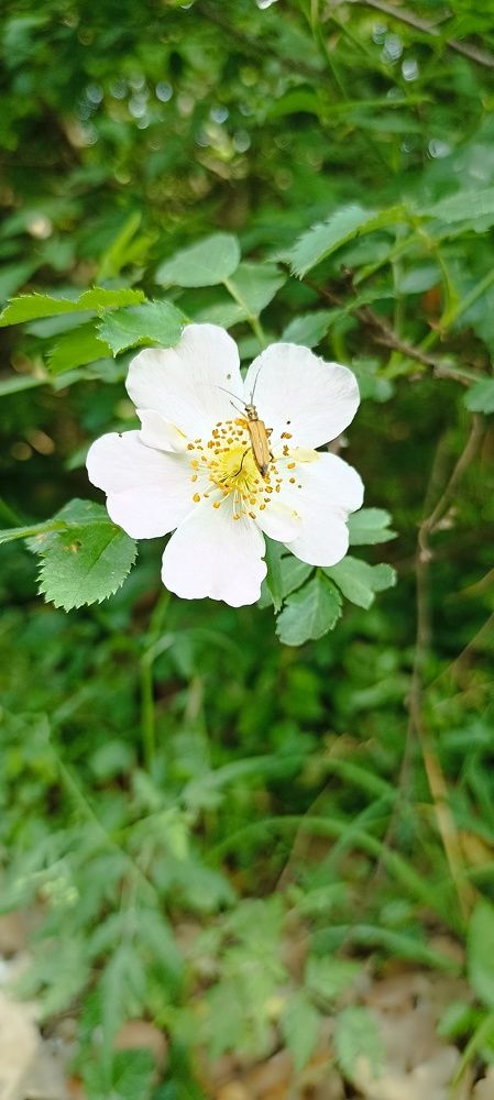 Photograph by Дмитрий Хайбулин