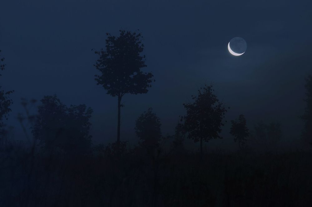 Photograph by Юрий Яковлев