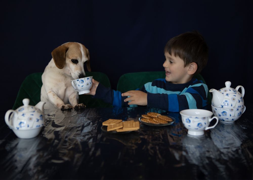 Фотография автора Ginny Marmer