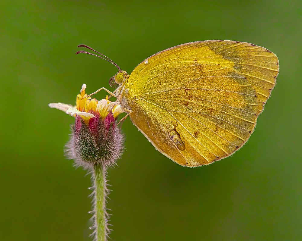 Photograph by Shankhadip Choudhury