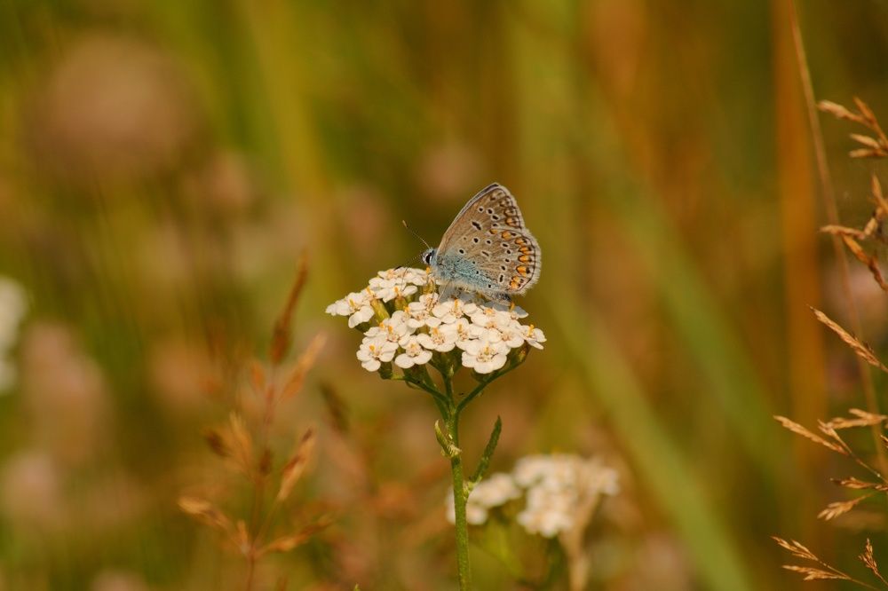 Photograph by Сергей Симаков