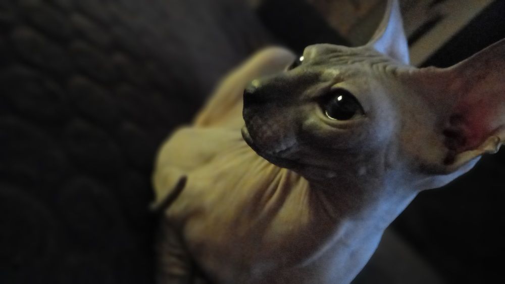 Фотография автора Евгения Зайцева