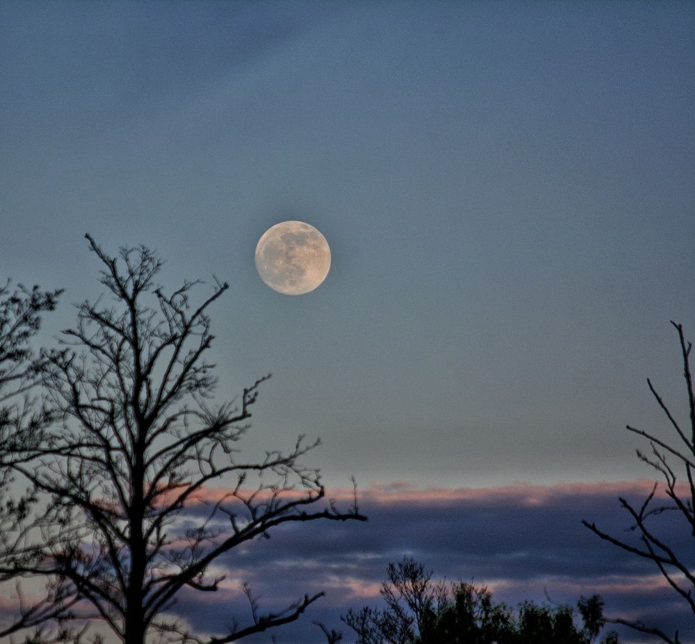 Photograph by Сергей Симаков