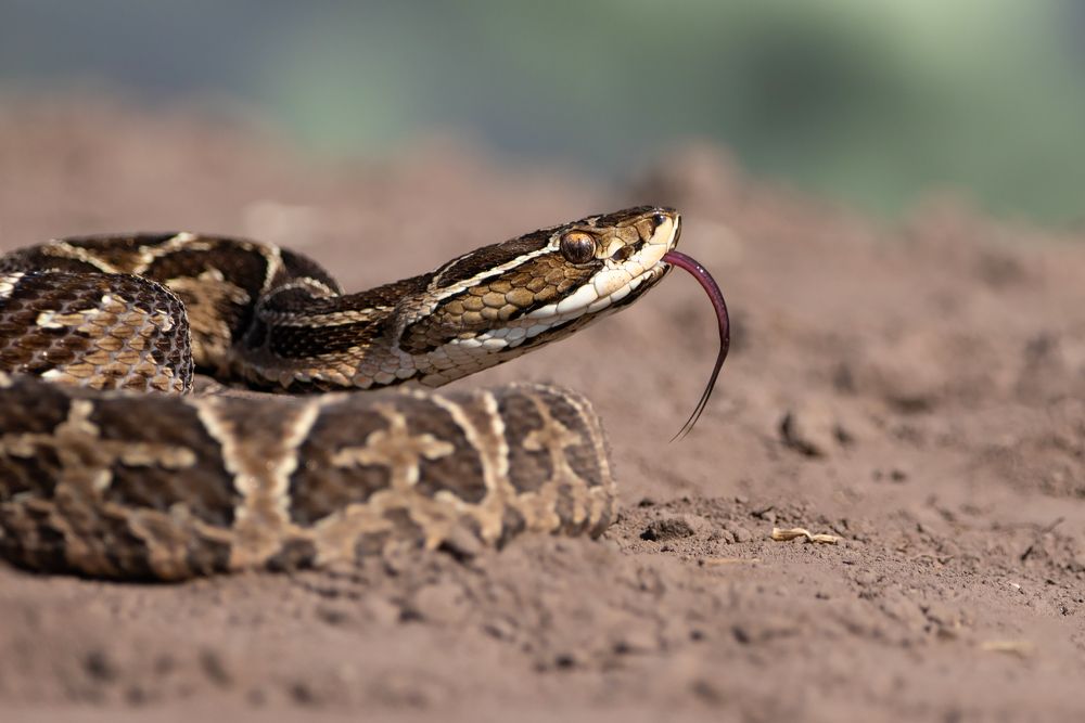 Photograph by MARÍA CECILIA REY