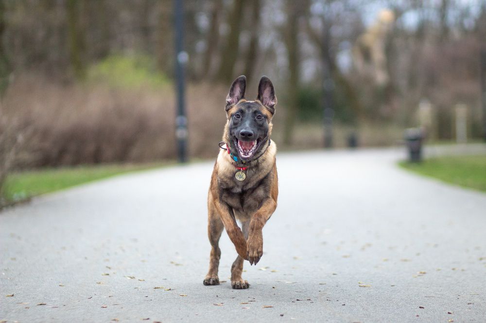 Фотография автора Анна Яковенко