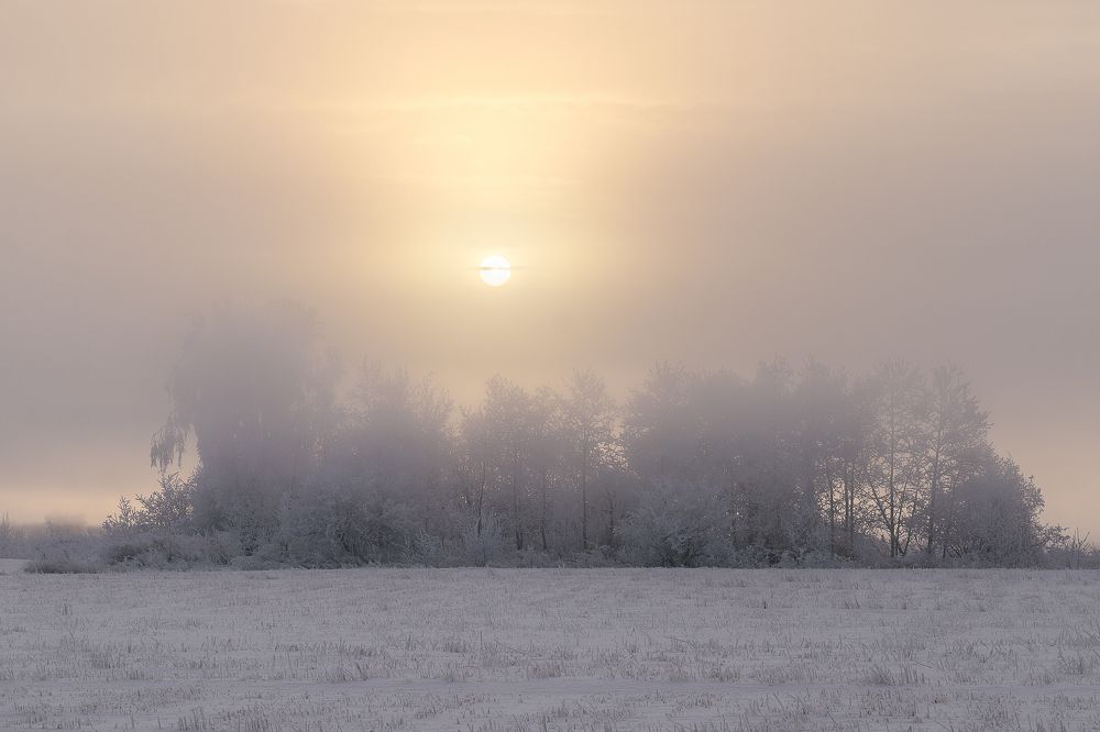 Photograph by Екатерина Дубровская