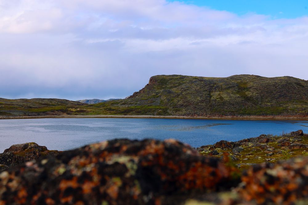 Photograph by Виталий Горюнов