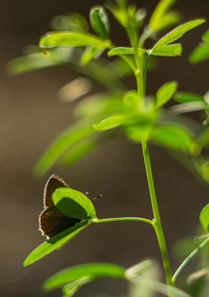 Photograph by Сергей