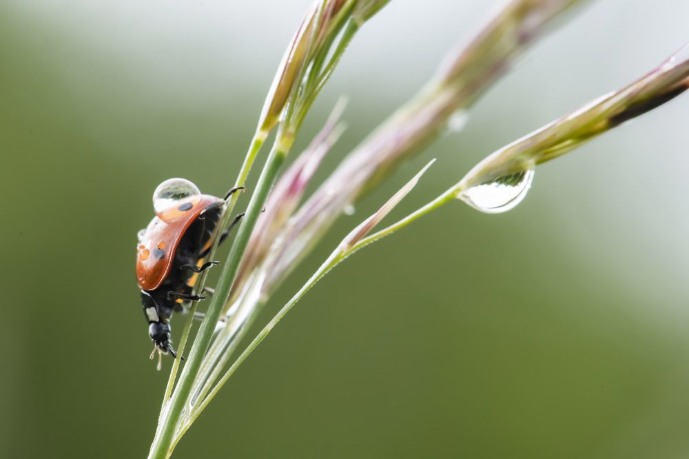 Photograph by stefanini alexis