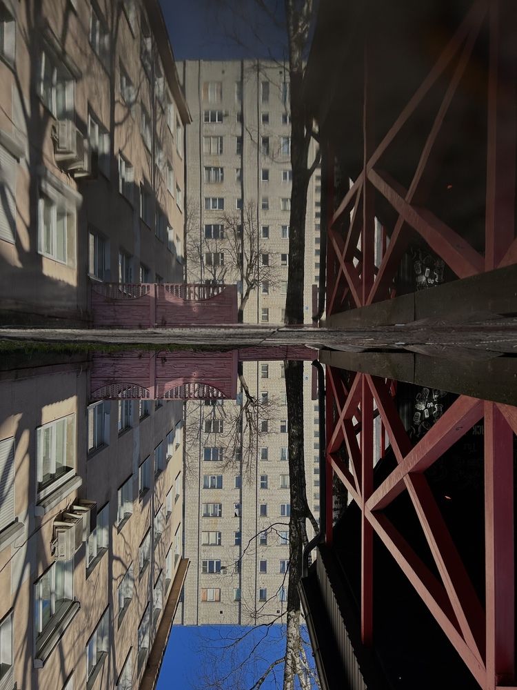 Photograph by Алина Дыленок