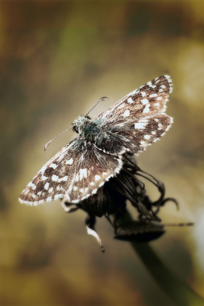 Photograph by Константин Власов