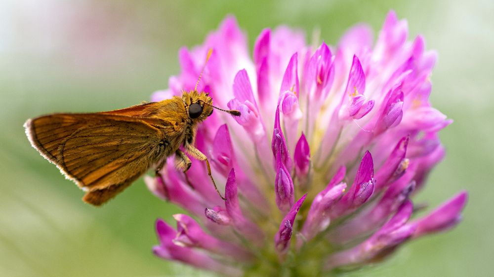 Photograph by Константин Власов