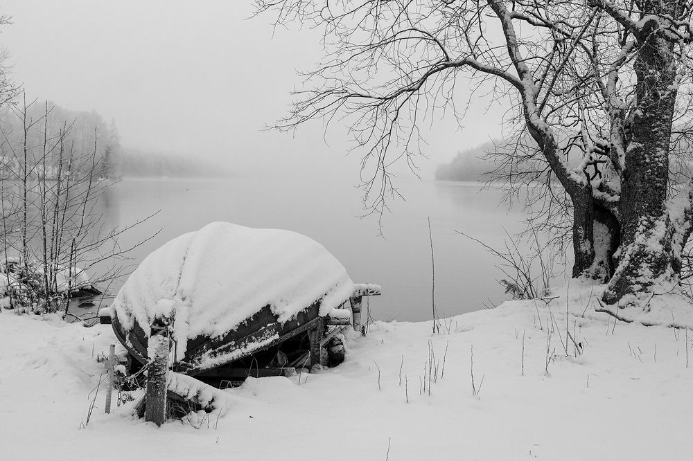 Фотография автора Koreneves