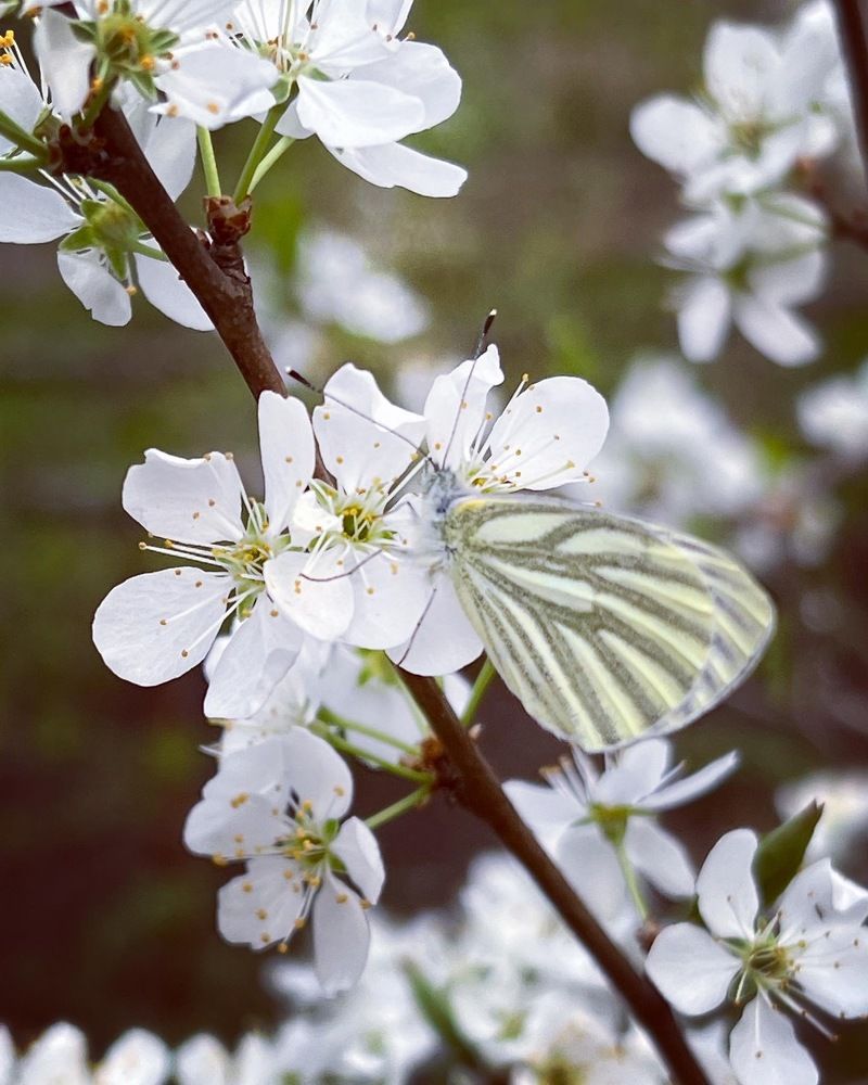 Photograph by Мария Халуторных