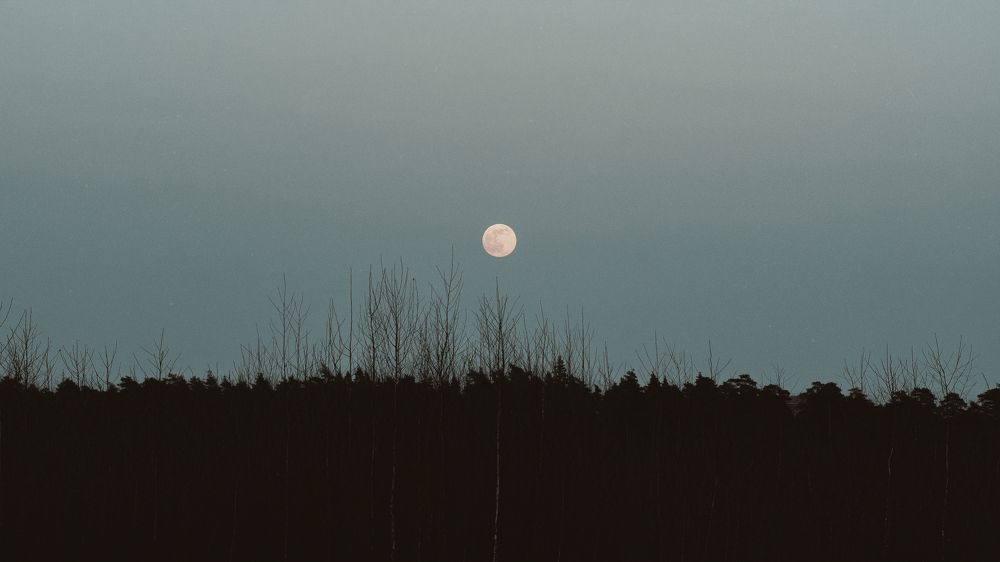 Photograph by Константин Власов