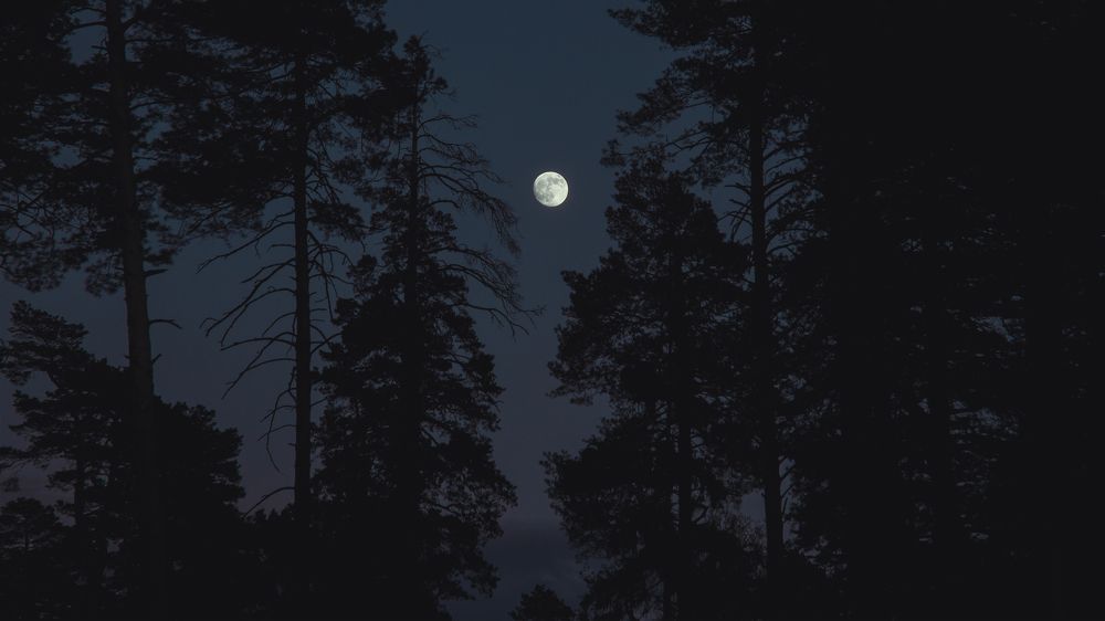 Photograph by Константин Власов