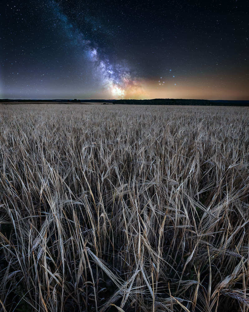 L I T T L E T H I N G S