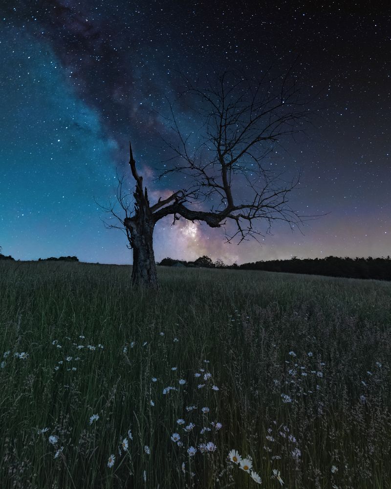 Photograph by Timo Sonntag