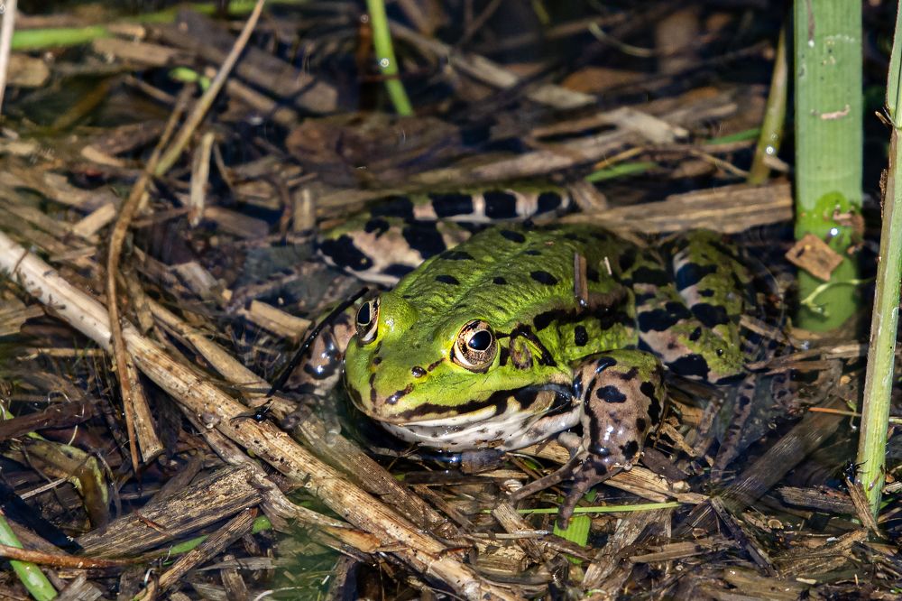 Photograph by Jacky Weckx