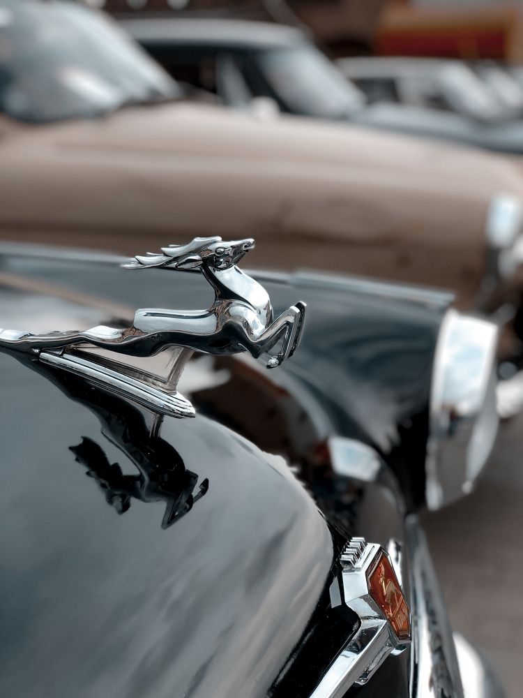 Photograph by Юлия Соколова