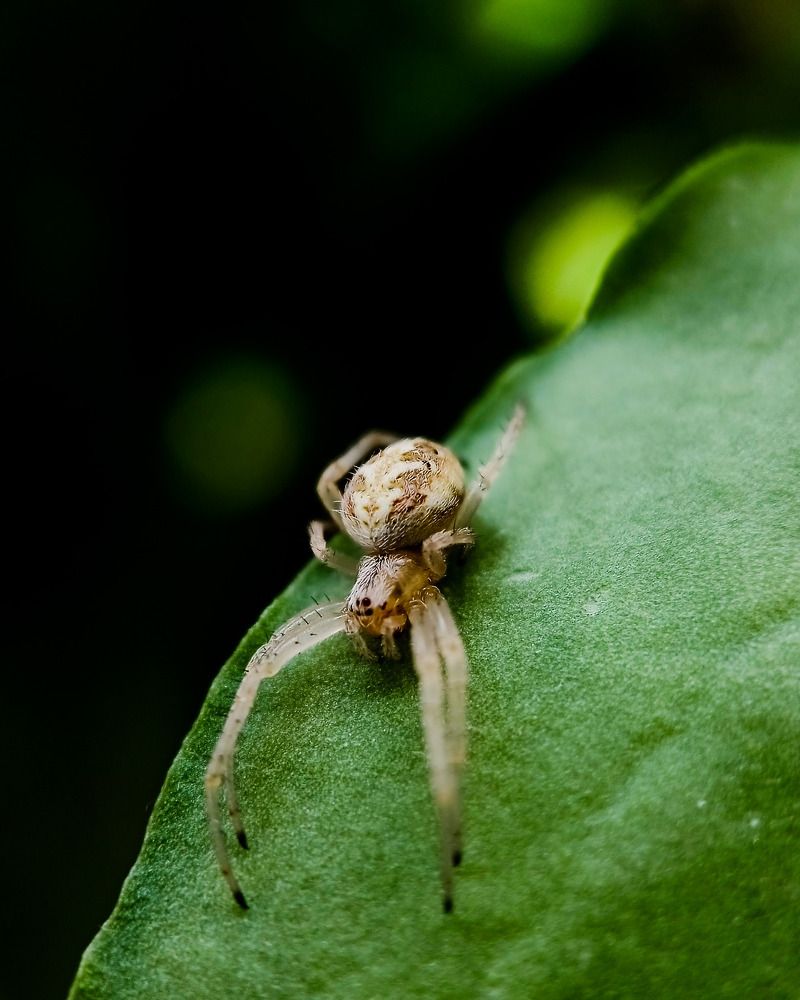 Photograph by Rathod Bhavika