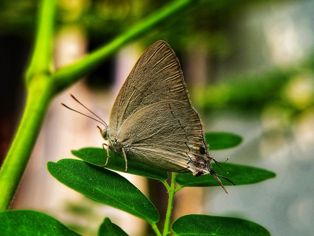 Photograph by SWARUP KR MANDAL