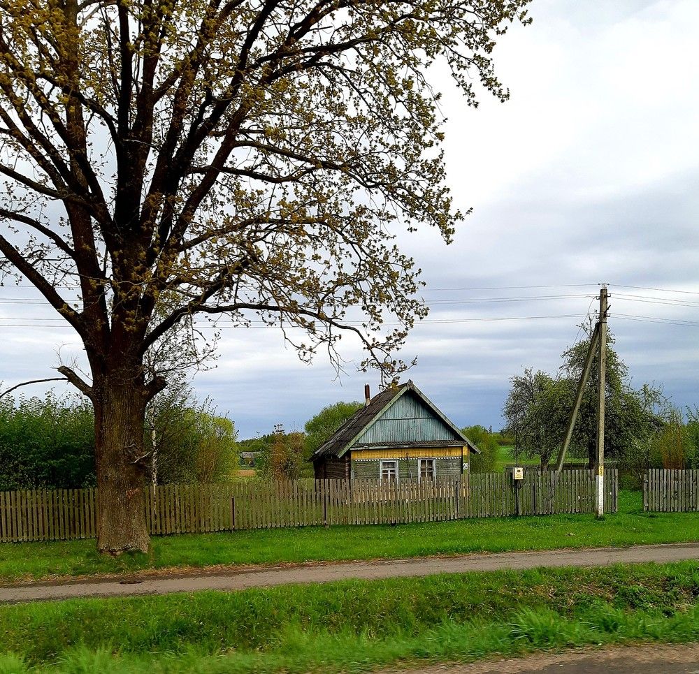 Фотография автора Ирина Лукьянчик