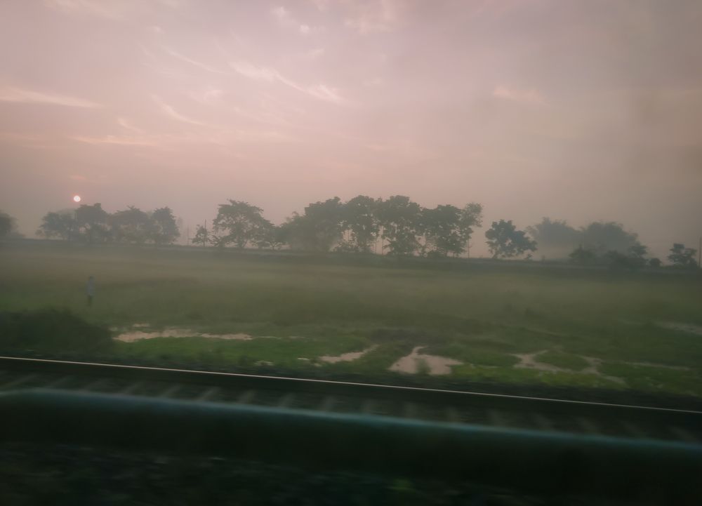 Foggy Morning