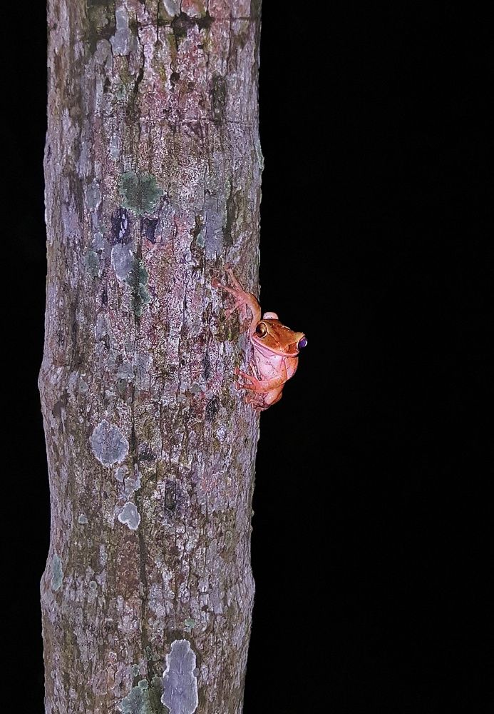 Фотография автора James Timsena