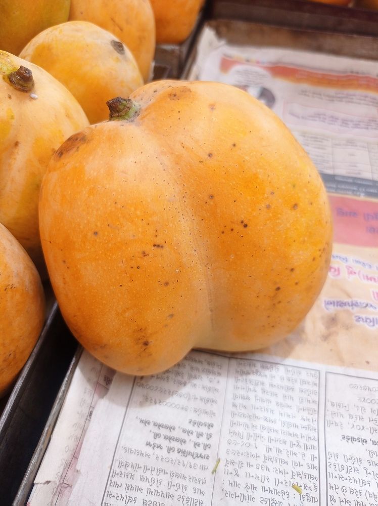 Photograph by Vinod Chavada