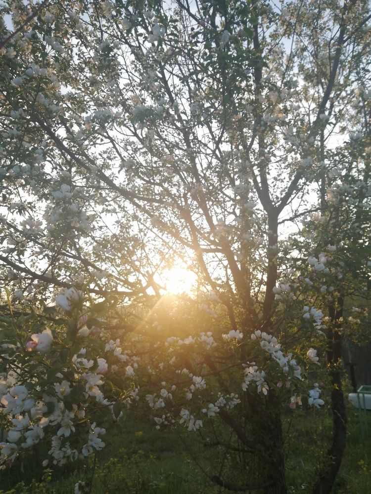 Photograph by Татьяна Поль