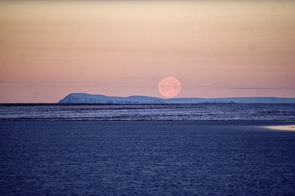 Photograph by Алексей Логинов